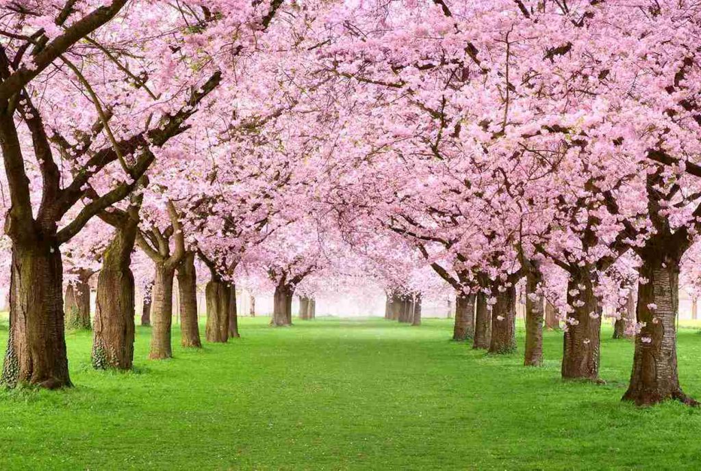 Long term benefits of couples therapy