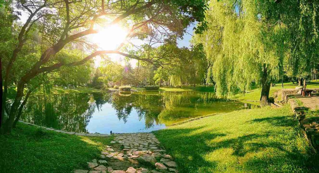 Couples Counseling in Irvine, California